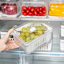 Organizadores de Geladeira Acrílico Clear Fresh
